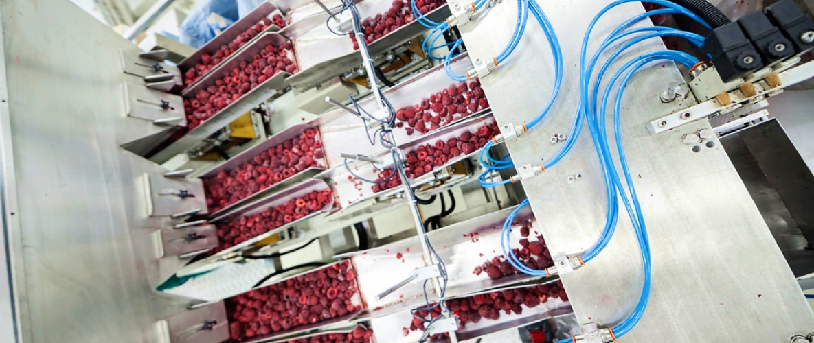 Что можно подвергать шоковой заморозке Что можно подвергать шоковой заморозке