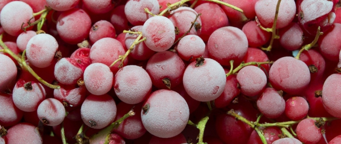 Шоковая заморозка Шоковая заморозка