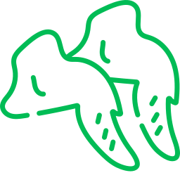 Куриные крылья Куриные крылья