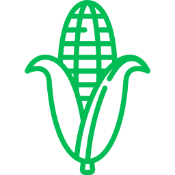 Овощи Овощи